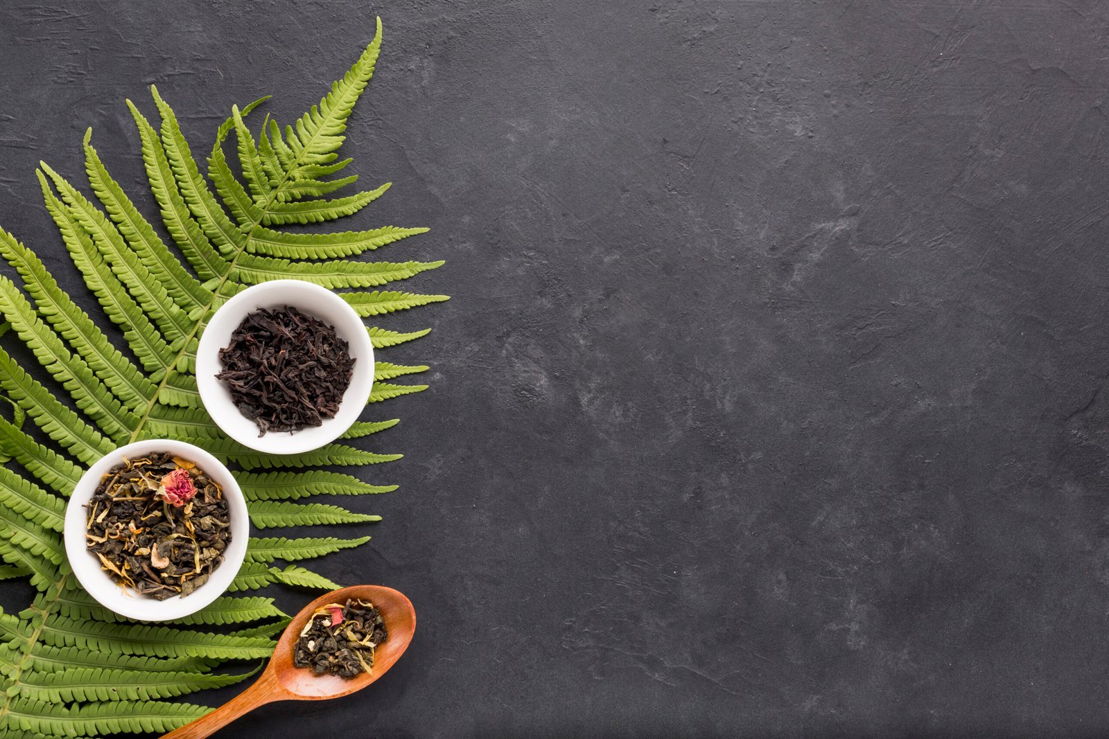 natural treatment for urine infection​ best treatment for urine infection​ urine infection treatment doctor​ natural treatment for urine infection​