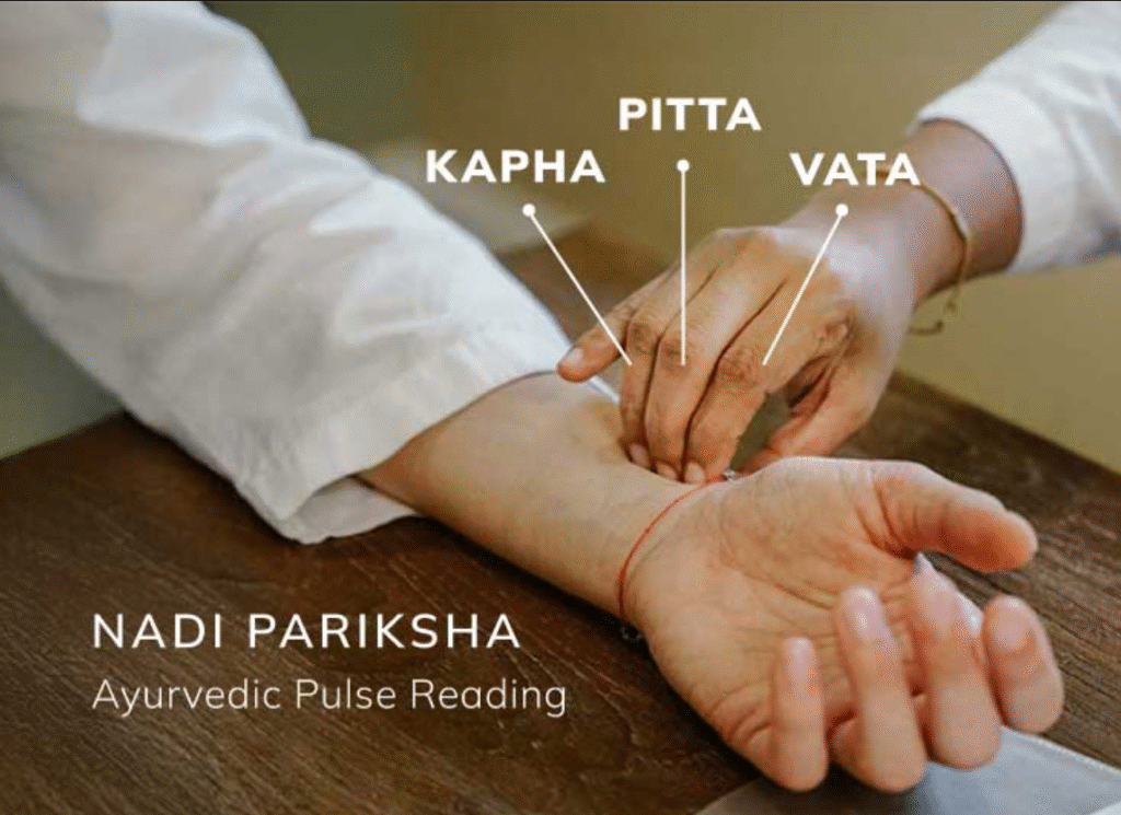 Vata Pitta Kapha in Nadi Pariksha