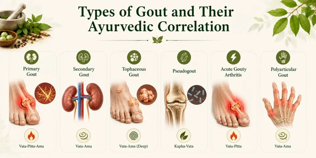 GOUT treatment ayurveda gout disease treatment in ayurveda ayurvedic treatment for gout ayurvedic medicine for gout treatmentGOUT ayurveda treatment