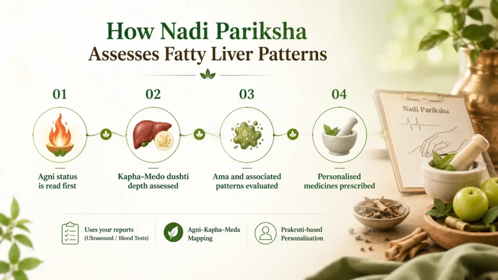 ayurvedic treatment for fatty liver ayurvedic treatment for fatty liver disease ayurvedic medicine for fatty liver best ayurvedic medicine for fatty liver ayurvedic treatment for fatty liver disease