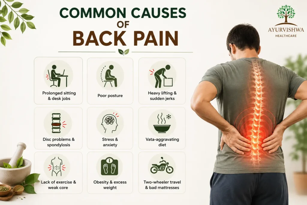 Medical infographic showing the common causes of back pain, including prolonged sitting, poor posture, heavy lifting, disc problems, stress, Vata-aggravating diet, lack of exercise, obesity, and two-wheeler travel, alongside a highlighted lumbar spine to illustrate the Ayurvedic approach to identifying the root cause of chronic back pain.