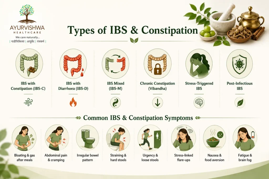 nfographic showing IBS-C, IBS-D, IBS-M, chronic constipation, stress-triggered IBS and post-infectious IBS, along with common symptoms including bloating, gas, abdominal pain, irregular bowel movements, straining, urgency, nausea, fatigue and brain fog, representing personalised IBS treatment in Ayurveda.